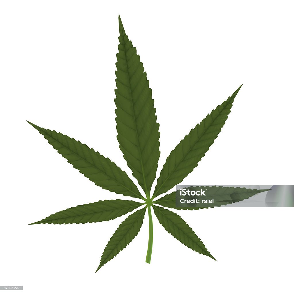 marijuana leaf isolated Leaf Stock Photo