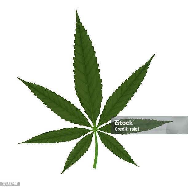 Marijuana Leaf Isolated Stock Photo - Download Image Now - Leaf, Cannabis Plant, Marijuana - Herbal Cannabis