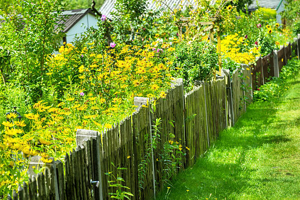 meravigliosi giardini con i fiori - kleingarten foto e immagini stock