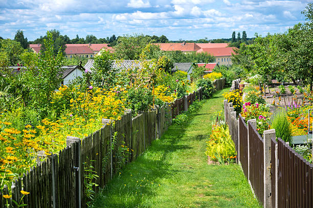 meravigliosi giardini con i fiori - kleingarten foto e immagini stock