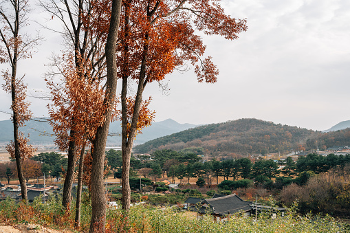 View of Seoak-dong old village at autumn in Gyeongju, Korea