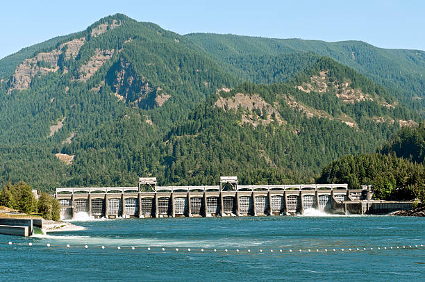 barragem hidroelétrica no rio em washington, e oregon - oregon forest hydroelectric power columbia river imagens e fotografias de stock