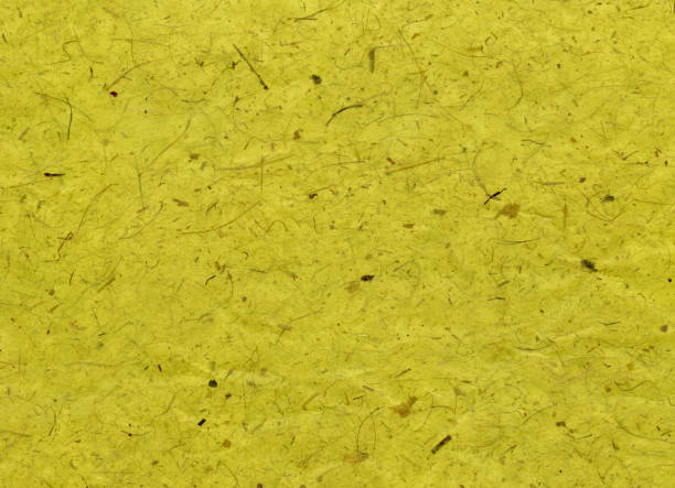 istock Green Handmade Recycled Paper 175535928