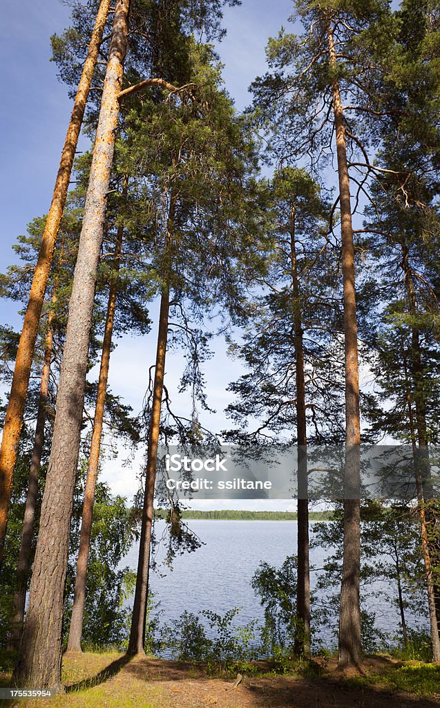 La Scandinavie Finlande lac en été - Photo de Eau libre de droits