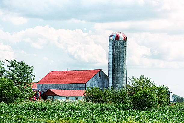 istock Old Fashioned Ontario Farm 175536081