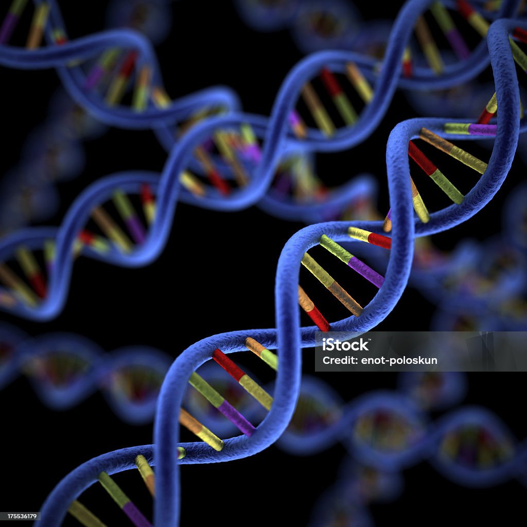 El ADN - Foto de stock de Ciencia libre de derechos