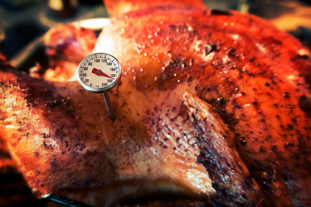 istock Close up of thermometer in roasted turkey 175536461
