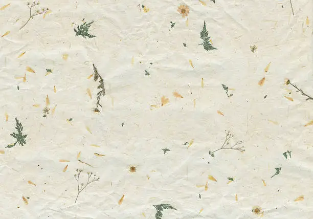 Photo of Dried Flowers Handmade Recycled Paper