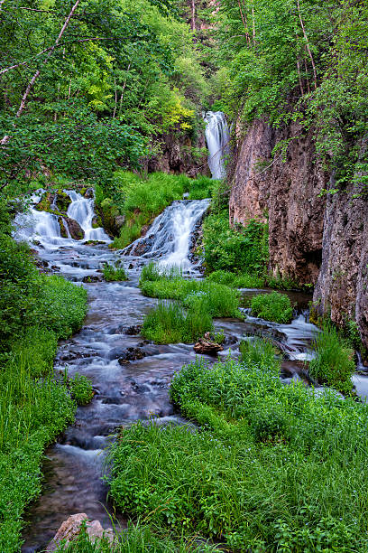 istock Lush waterfall Spearfish Canyon  XXXL 175537870