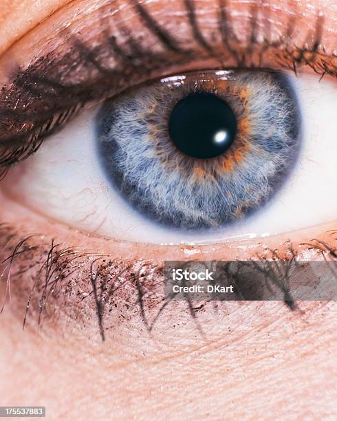 Photo libre de droit de Gros Plan De La Belle Femme Bleu Yeux Maquillage Whis banque d'images et plus d'images libres de droit de A la mode