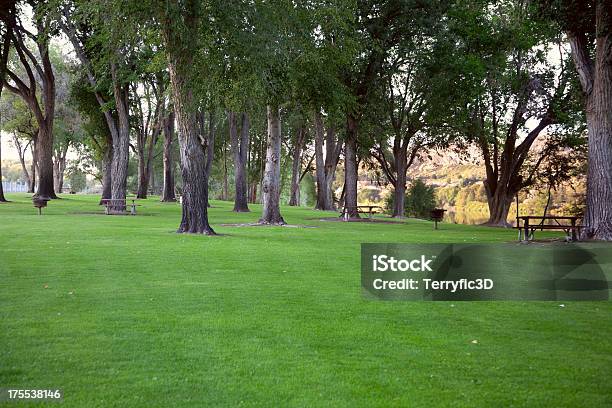 Parque Del Río Snake Foto de stock y más banco de imágenes de Parque público - Parque público, Mesa de jardín, Parrillera