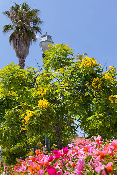 istock Landscaped Streetlight 175538315