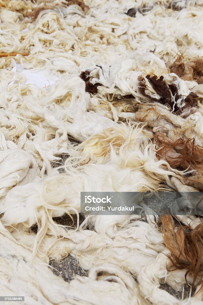 wool "wool laid out for airing, part of turkish culture" Abundance Stock Photo