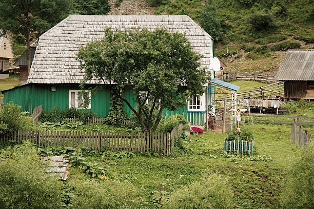 istock Wooden house in Ukraine 175538776