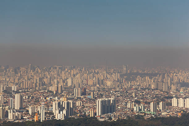 inquinamento dell'aria in sao paulo city - global warming smog city pollution foto e immagini stock