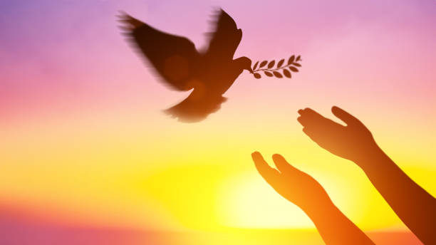 istock Silhouette pigeon return coming with olive branch to hands vibrant sunlight sunset sunrise background. Freedom making merit concept. Animal people hope pray holy faith. International Day of Peace. 1755397725