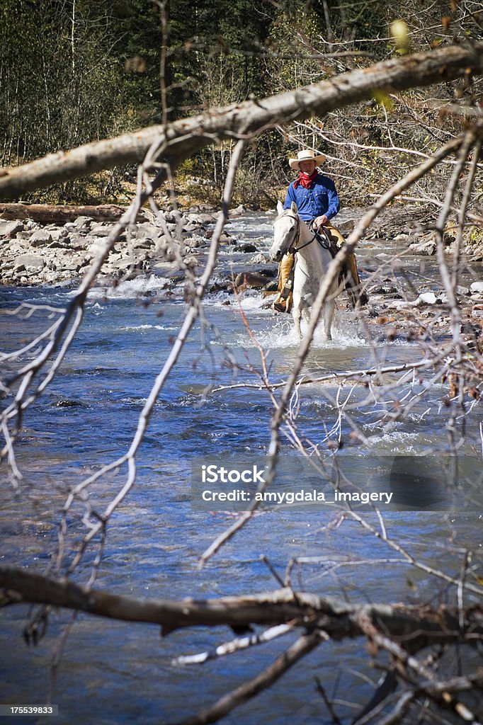 horseback riding "cowboy man wearing blue shirt with red scarf horseback riding in a river framed by the branches of a tree in foreground.  such beautiful nature scenery landscapes and outdoor sports, recreation, and adventure can be found on cascade creek in the san juan range of the colorado rocky mountains.  vertical composition with selective focus on background rider branches taken in durango, colorado." Adult Stock Photo