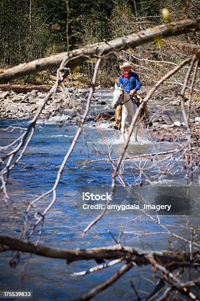 Horseback Riding Stock Photo - Download Image Now - Adult, Adults Only, Adventure