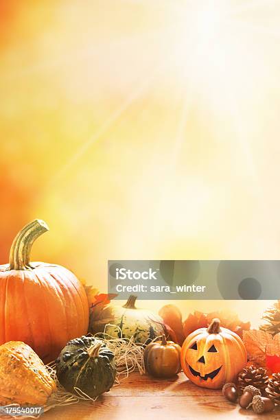 Jesień Martwa Natura W Pełnym Słońcu - zdjęcia stockowe i więcej obrazów Halloween - Halloween, Tło, Jesień