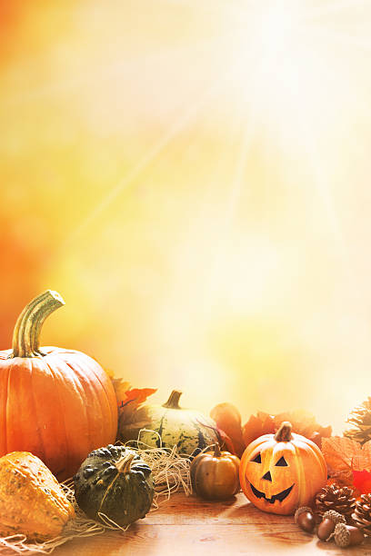 outono ainda vida sob a luz brilhante do sol - pumpkin autumn october squash - fotografias e filmes do acervo