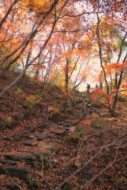 istock Autumn Mountain Hiking 1755402115