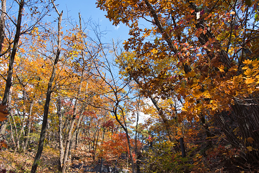 Autumn Seoul Dobongsan Korea