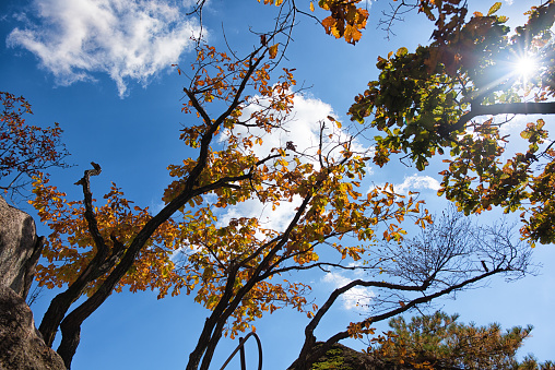 Autumn Seoul Dobongsan Korea