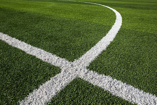 White paint dividers in grass of soccer field stock photo