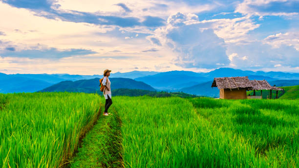 Free Stock Photo of Woman Walking Through Lush Green Field | Download ...