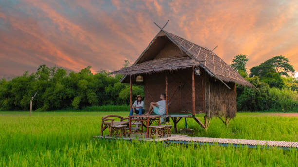 small homestay at the farm with green rice paddy field in Central Thailand at sunset a couple of men and woman at a small homestay on a farm with a green rice paddy field in Central Thailand, a young couple on vacation in the Thai countryside watching sunset in front of a bamboo hut thailand rice field stock pictures, royalty-free photos & images