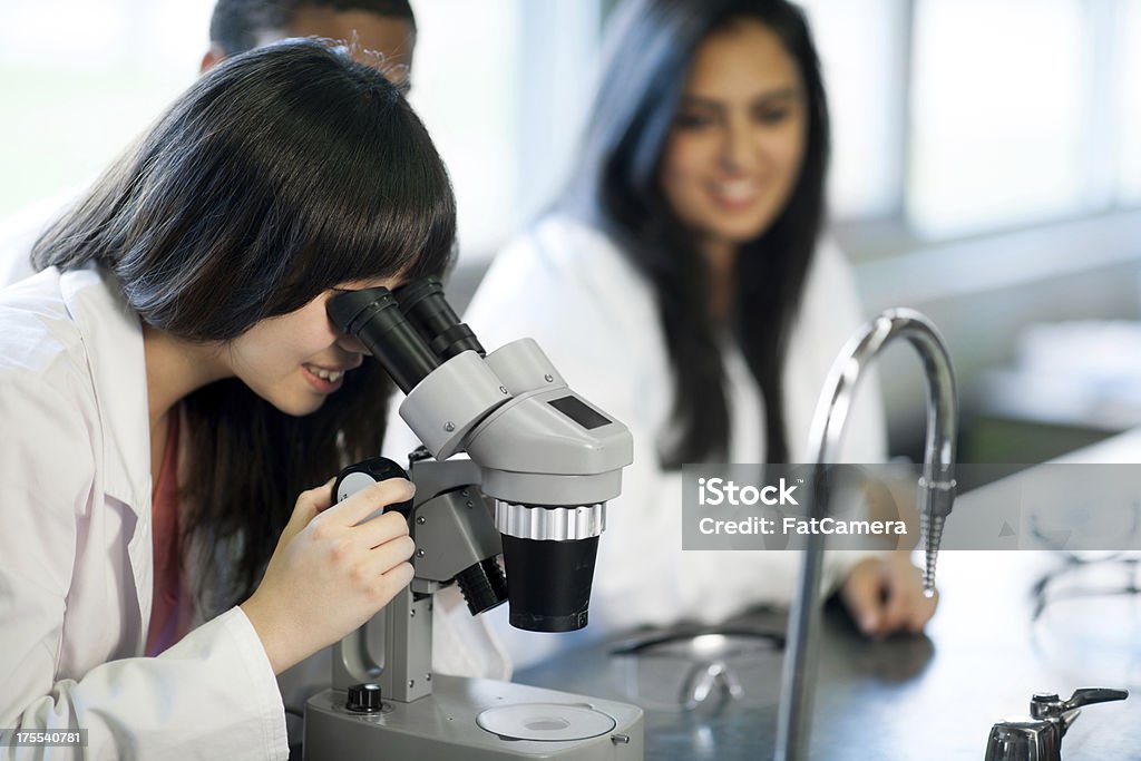 High school students High school students in a science classroom. Back to School Stock Photo