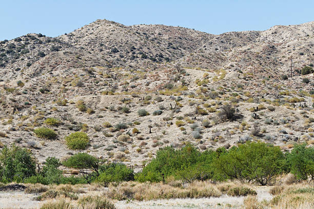 Surreal view of the high desert hills in Southern California.