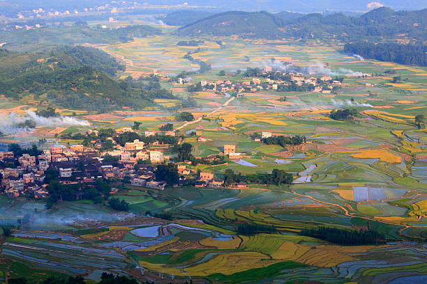 istock Rice fields in huixian town 175541178