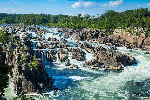 great falls del río potomac con agua rushing alrededor de rocks - tree waterfall water river fotografías e imágenes de stock