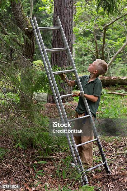 Jungen Blonden Jungen Einen Baum Klettern Stockfoto und mehr Bilder von 8-9 Jahre - 8-9 Jahre, Blondes Haar, Eiche