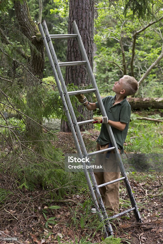 Jovem loira Garoto escalando uma árvore - Foto de stock de 8-9 Anos royalty-free