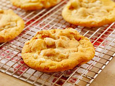 Homemade Macadamia Nut and White Chocolate Cookies Cooling  -Photographed on Hasselblad H3D2-39mb Camera