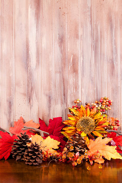 istock Tan background fall flowers, leaves and pine cones at bottom 175541654