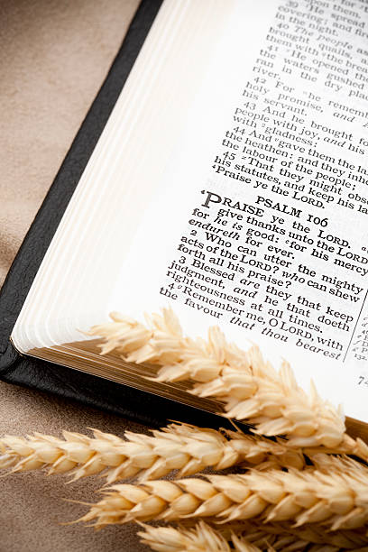 istock Thanksgiving Bible Passage and Wheat Psalm 106 175541814