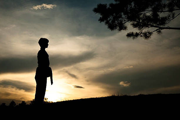 istock Woman in silhouette practicing martial arts, karate. Sunset. Outdoors. Sky. 175542136