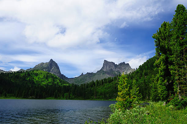 lago di montagna nel parco nazionale ergaki, russia - schreckhorn uncultivated tree summer foto e immagini stock