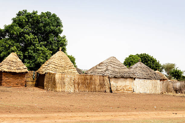 africano de paja - ziguinchor fotografías e imágenes de stock