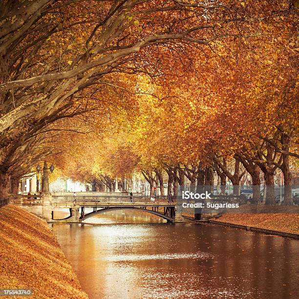 Otoño En Una Ciudad Foto de stock y más banco de imágenes de Agua - Agua, Aire libre, Ajardinado