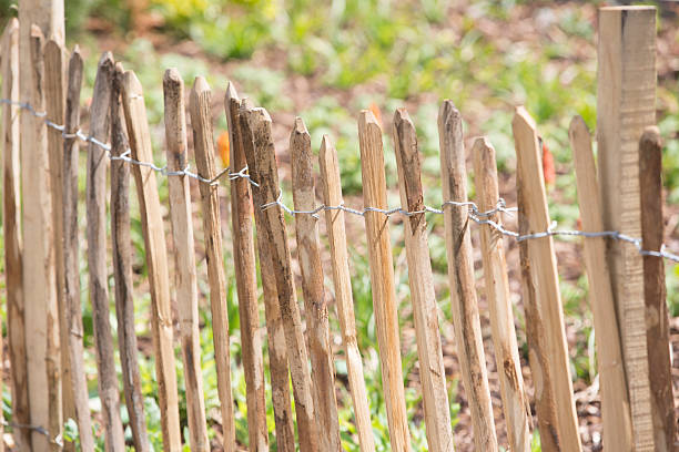 istock Country Fence 175544496