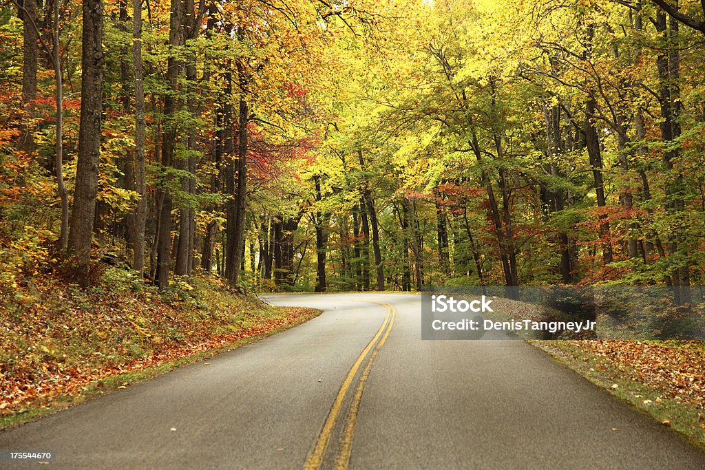 Blue Ridge Parkway - Foto stock royalty-free di Blue Ridge Parkway