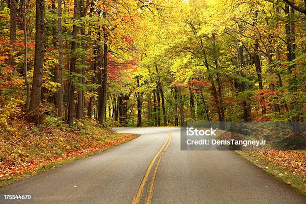 Blue Ridge Parkway - Fotografie stock e altre immagini di Blue Ridge Parkway - Blue Ridge Parkway, Ambientazione esterna, Autunno