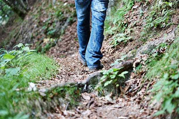 istock Man walking on woodland path 175544671