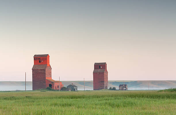 prairie grano de los ascensores - saskatchewan fotografías e imágenes de stock