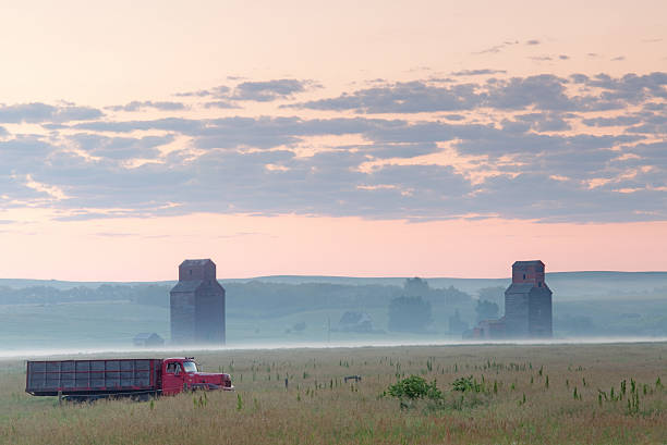 prairie-grain-aufzüge und lkw - regina fog morning saskatchewan stock-fotos und bilder