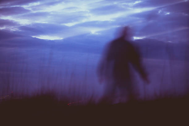 istock Silhouette of man walking along coastline at sunset 175545327